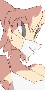 Headshot of Rottel, the mischievous albino cat squirrel platapus